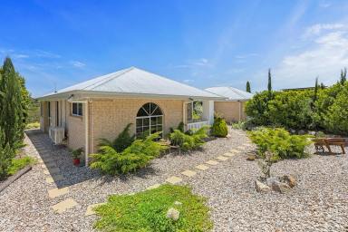 Acreage/Semi-rural For Sale - QLD - Preston - 4352 - "Rosalee" Peaceful, Private and Ready to Enjoy  (Image 2)