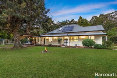 House For Sale - NSW - Clarence Town - 2321 - Country Farmhouse With Storybook Charm  (Image 2)