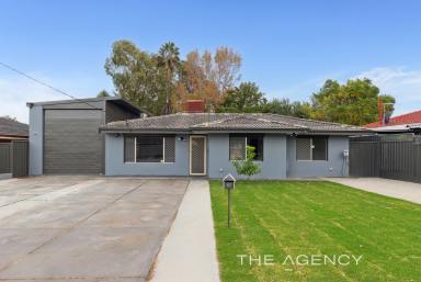 House For Sale - WA - Kenwick - 6107 - Renovated, Refined & Ready for You!  (Image 2)