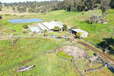 Mixed Farming For Sale - NSW - Kyogle - 2474 - A FARM WITH MANY OPPORTUNITIES  (Image 2)