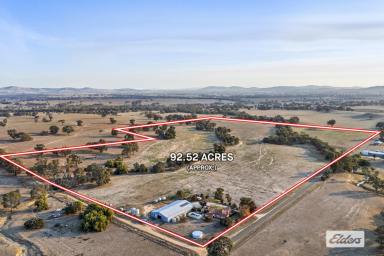 Farmlet For Sale - VIC - Crowlands - 3377 - Idyllic Lifestyle Property with Modern Farmhouse Charm and Versatile Rural Infrastructure  (Image 2)