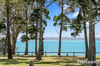 House For Sale - QLD - Tinnanbar - 4650 - Beachfront Bliss with Holiday Investment Potential  (Image 2)