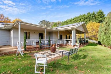 Horticulture For Sale - VIC - Stanley - 3747 - Thriving Agritourism Business - Sale & Leaseback Option Available  (Image 2)
