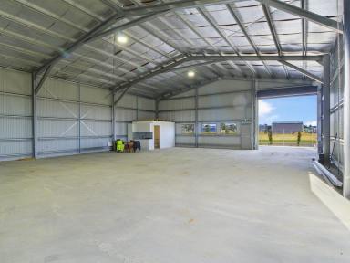 Industrial/Warehouse For Lease - VIC - Bairnsdale - 3875 - BRAND NEW INDUSTRIAL SHED FOR LEASE - BAIRNSDALE  (Image 2)