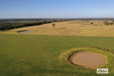 Mixed Farming For Sale - VIC - Stockdale - 3862 - Stockdale grazing country  (Image 2)