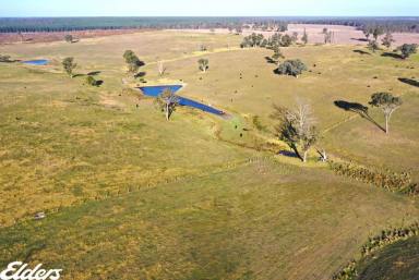 Mixed Farming For Sale - VIC - Stockdale - 3862 - $4500 per ACRE (Image 2)