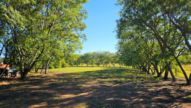 House For Sale - QLD - Gayndah - 4625 - Double Brick Home, Solar, Water Security & Paddocks - It's All Here  (Image 2)