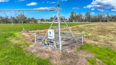 Cropping Auction - NSW - Manilla - 2346 - HIGHLY PRODUCTIVE LAND WITH EXCELLENT WATER  (Image 2)