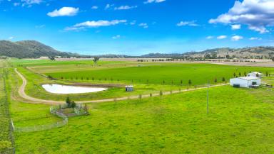 Cropping Auction - NSW - Manilla - 2346 - ONE OF THE DISTRICT'S MOST PRODUCTIVE SMALL FARMS  (Image 2)