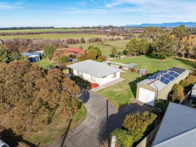 House For Sale - TAS - Hagley - 7292 - 1 Acre Opportunity  (Image 2)