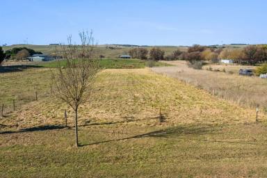 Residential Block For Sale - NSW - Taralga - 2580 - "Build the Life You Love"  (Image 2)