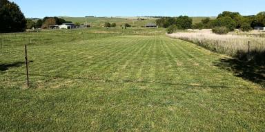 Residential Block For Sale - NSW - Taralga - 2580 - "Build the Life You Love" (Image 2)