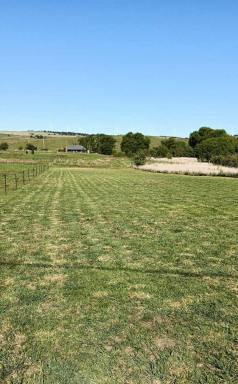 Residential Block For Sale - NSW - Taralga - 2580 - "Build the Life You Love" (Image 2)