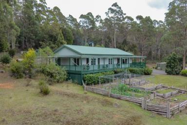 House For Sale - TAS - Turners Marsh - 7267 - Rustic Charm Meets Modern Comfort on 20.12 Hectares of Tranquil Paradise  (Image 2)