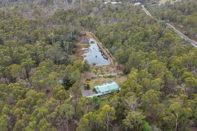 House For Sale - TAS - Turners Marsh - 7267 - Rustic Charm Meets Modern Comfort on 20.12 Hectares of Tranquil Paradise  (Image 2)