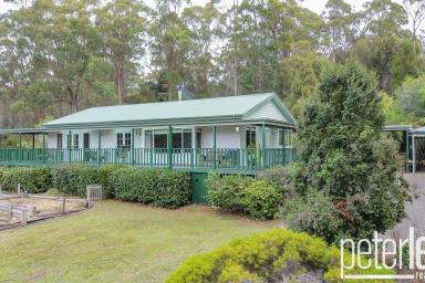 House For Sale - TAS - Turners Marsh - 7267 - Rustic Charm Meets Modern Comfort on 20.12 Hectares of Tranquil Paradise  (Image 2)