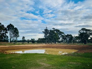 Other (Rural) For Sale - VIC - Edenhope - 3318 - Grazing Land on the Edge of Edenhope  (Image 2)