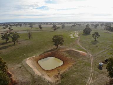 Other (Rural) For Sale - VIC - Edenhope - 3318 - Grazing Land on the Edge of Edenhope  (Image 2)