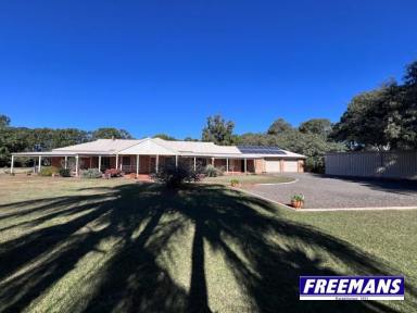 House For Sale - QLD - Kingaroy - 4610 - A Private 8,940m2 allotment with approvals for subdivision  (Image 2)