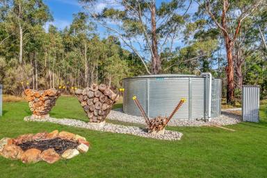 Acreage/Semi-rural For Sale - NSW - Lower Boro - 2580 - 40 ACRES, BEAUTY, PEACE, QUIET, SERENITY, CREEK, FISHING & NATURE.  (Image 2)