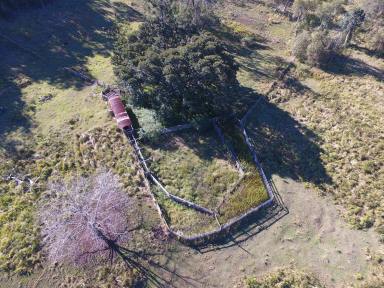 Mixed Farming Auction - NSW - Doubtful Creek - 2470 - 1320 ACRES  (Image 2)