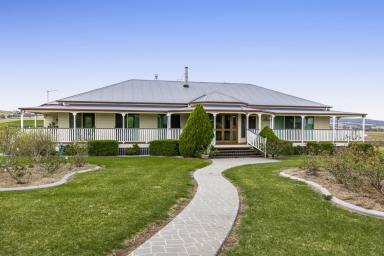 Mixed Farming Auction - QLD - Vale View - 4352 - "Kenmore" 
206 acres of Executive living only 15 km from Toowoomba's CBD!  (Image 2)