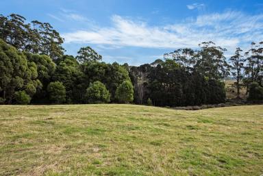 Residential Block For Sale - TAS - Scotchtown - 7330 - Vacant Block at 20 Nitida Drive Upper Scotchtown
1.729 HA  (Image 2)