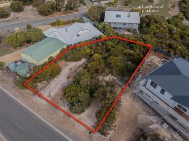 Residential Block For Sale - SA - Marion Bay - 5575 - Prime Residential Land 815m2 in the heart of Marion Bay  (Image 2)