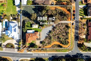 House For Sale - WA - Swan View - 6056 - Be "King Of The Hill" or Secure a Superb Landbank Blue Chip Investment - Your Choice!  (Image 2)