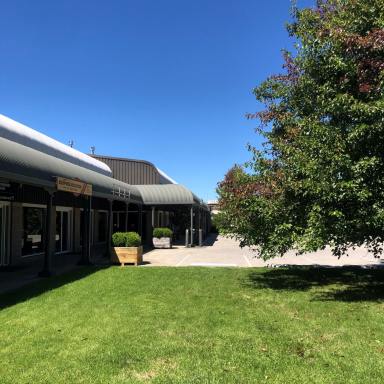 Other (Commercial) For Lease - NSW - Bowral - 2576 - High Quality Premise in The Village of Bowral Complex  (Image 2)
