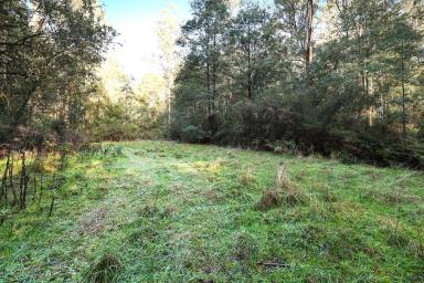 Residential Block For Sale - VIC - Fumina - 3825 - PRIVATE ESCAPE FROM IT ALL  (Image 2)