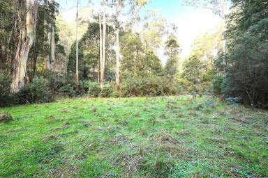 Residential Block For Sale - VIC - Fumina - 3825 - PRIVATE ESCAPE FROM IT ALL  (Image 2)