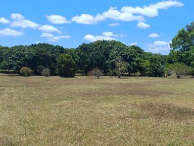 Residential Block For Sale - QLD - Hull Heads - 4854 - START PACKING. PARADISE IS FOR SALE!  (Image 2)