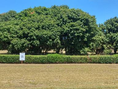 Residential Block For Sale - QLD - Hull Heads - 4854 - START PACKING. PARADISE IS FOR SALE!  (Image 2)