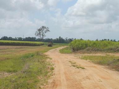 Residential Block For Sale - QLD - Silky Oak - 4854 - Build Your New Home  (Image 2)