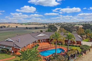 Mixed Farming For Sale - NSW - Cowra - 2794 - Exceptional home on 214 Acres* of creek frontage land, 10mins from town!  (Image 2)