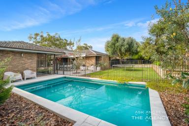House For Sale - WA - Booragoon - 6154 - IMMACULATELY RENOVATED FAMILY RESIDENCE  (Image 2)