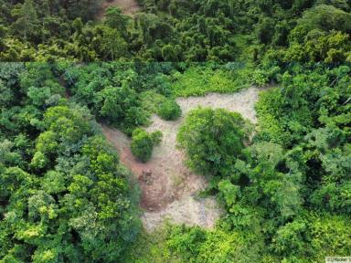 Residential Block For Sale - QLD - Friday Pocket - 4855 - ONCE IN A LIFETIME BLOCK.  (Image 2)