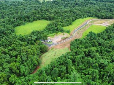 Residential Block For Sale - QLD - Friday Pocket - 4855 - ONCE IN A LIFETIME BLOCK.  (Image 2)