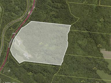 Residential Block For Sale - QLD - Friday Pocket - 4855 - ONCE IN A LIFETIME BLOCK.  (Image 2)