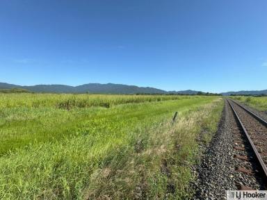 Residential Block For Sale - QLD - Birkalla - 4854 - SENSATIONAL SMALL ACREAGE OR LIFESTYLE OPPORTUNITY  (Image 2)