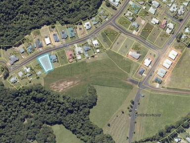 Residential Block For Sale - QLD - Tully - 4854 - WHY BUY WHEN YOU CAN BUILD?  (Image 2)