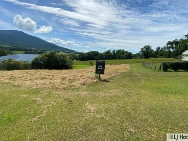 Residential Block For Sale - QLD - Tully - 4854 - WHY BUY WHEN YOU CAN BUILD?  (Image 2)