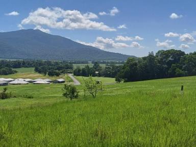 Residential Block For Sale - QLD - Tully - 4854 - WHY BUY WHEN YOU CAN BUILD?  (Image 2)