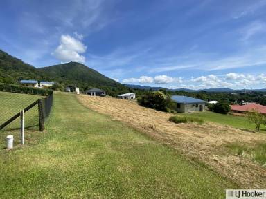 Residential Block For Sale - QLD - Tully - 4854 - WHY BUY WHEN YOU CAN BUILD?  (Image 2)