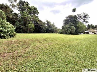 Residential Block For Sale - QLD - Tully - 4854 - A SLICE OF PARADISE  (Image 2)