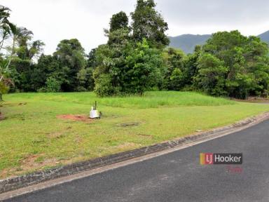 Residential Block For Sale - QLD - Tully - 4854 - A SLICE OF PARADISE  (Image 2)