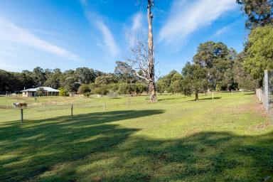 Lifestyle For Sale - WA - Margaret River - 6285 - RARE LIFESTYLE BLOCK ON MARGARET RIVER'S COVETED WEST SIDE  (Image 2)