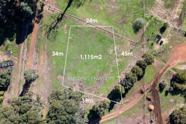 Lifestyle For Sale - WA - Margaret River - 6285 - RARE LIFESTYLE BLOCK ON MARGARET RIVER'S COVETED WEST SIDE  (Image 2)