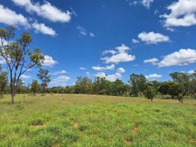 Acreage/Semi-rural For Sale - QLD - Jericho - 4728 - FOR SALE: Safe breeding block - Speculation: 24,923 ha/61,586 acres  (Image 2)